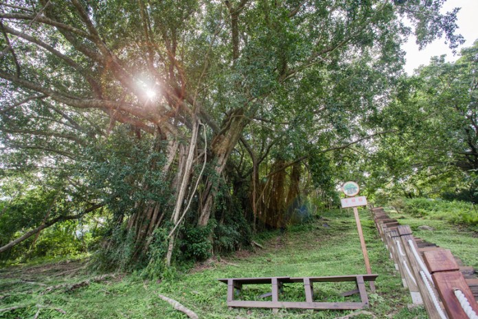 Le bureau forestier du ministère de l'Agriculture annonce l'accès à moitié prix de 13 parcs forestiers pour la fête nationale (photo fournie par le bureau)